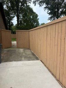 Freshly stained Charleston SC wood privacy fence with warm natural tone along a concrete walkway